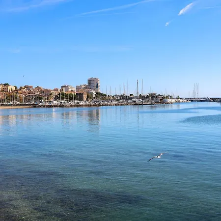 Nouveauté-charmant Lecactus Avec Terrasse Au Cœur De Ste-maxime