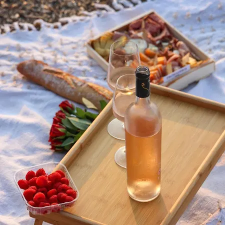 Nouveaute-charmant Lecactus Avec Terrasse Au Coeur De Ste-maxime Апартаменты