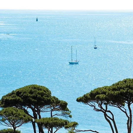 Nouveaute-charmant Lecactus Avec Terrasse Au Coeur De Ste-maxime * Сент-Максим